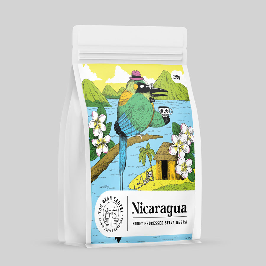 The Bean Cartel Specialty Coffee Nicaragua - Honey Processed Selva Negra