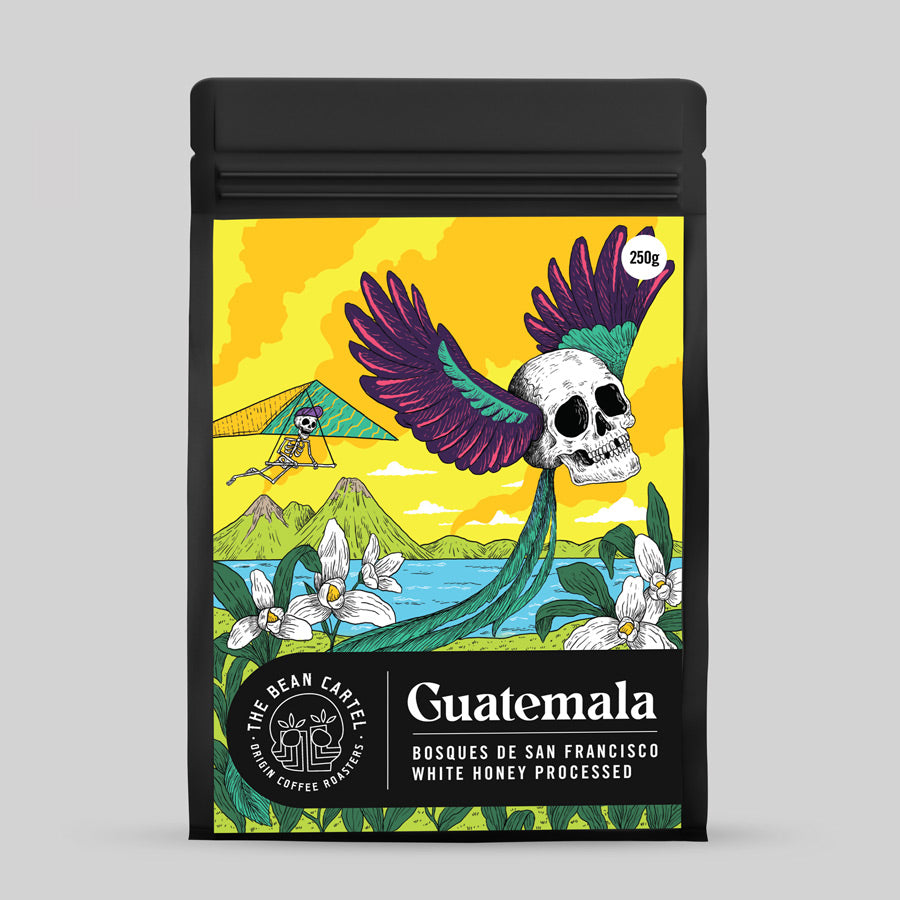 The Bean Cartel Specialty Coffee  Guatemala Bosques de San Francisco - White Honey Processed