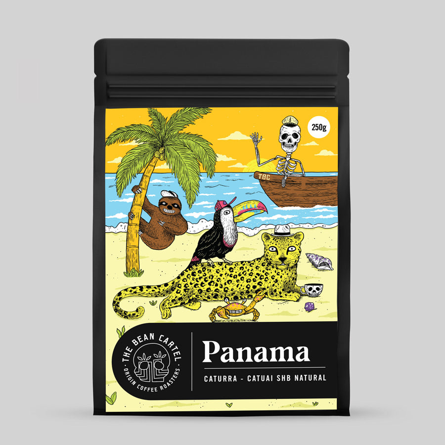 Melbourne Specialty Coffee Panama Finca Santa Teresa - Caturra & Catuai SHB Natural